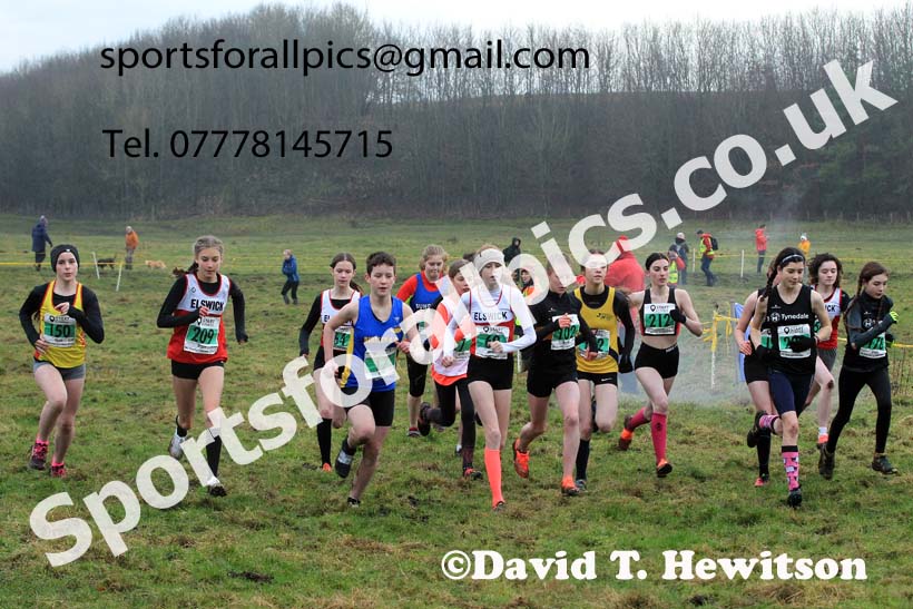 Girls under-15s 2022 North Eastern Harrier League, Thornley Farm, Peterlee, County Durham. Photo: David T. Hewitson/Sports for All Pics